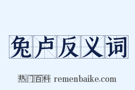 兔卢反义词是什么意思的图片